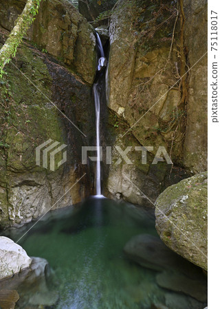 Inu Ochi Waterfall瀑布uma谷山谷(和歌山縣田邊市) Inu Ochi Waterfall瀑布uma谷山谷(和歌山縣田邊市) 75118017