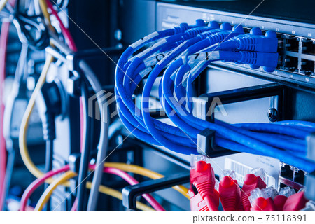 blue ethernet cables connected to switch 75118391