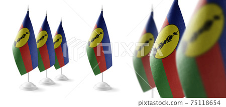 Set of New Caledonia national flags on a white background 75118654
