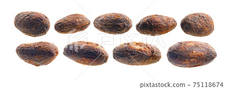 A set of cocoa beans. Isolated on a white background 75118674