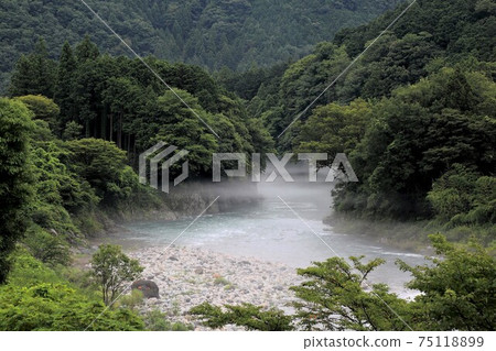 Hydrangea Village: Neoji, 80 (Sawara, Motosu City, Gifu Prefecture) Hydrangea Village: Neoji, 80 (Sawara, Motosu City, Gifu Prefecture) 75118899