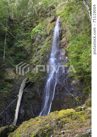 Kasagi Fudotaki Otaki (Taiki Town, Watarai District, Mie Prefecture) 75119004