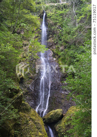 Kasagi Fudotaki Otaki (Taiki Town, Watarai District, Mie Prefecture) 75119017