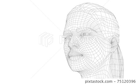 Wireframe portrait of a young beautiful girl 75120396