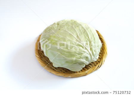 圓盤漏勺上的白菜 圓盤漏勺上的白菜 75120732