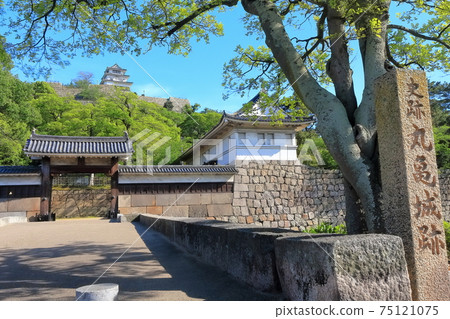[Kagawa Prefecture] Fresh green Marugame Castle 75121075