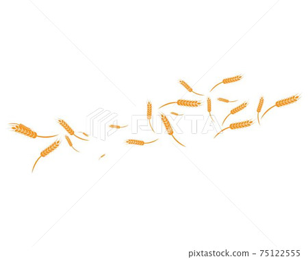 wheat Background Template 75122555