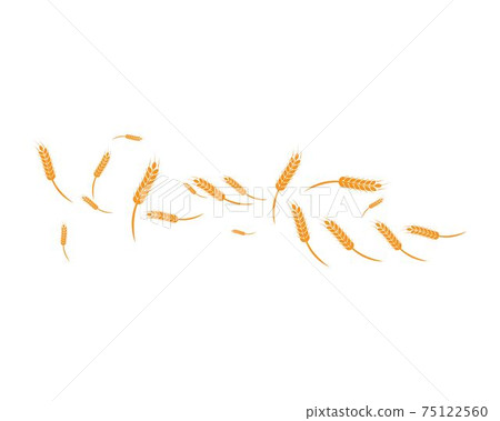 wheat Background Template 75122560