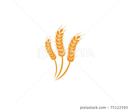 wheat Logo Template 75122593