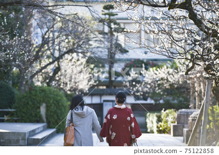 龜戶天神社,梅花和服的女人 龜戶天神社,梅花和服的女人 75122858