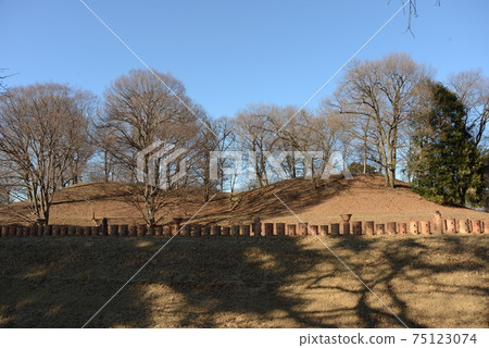 Winter scenery where the leaves fall and you can clearly see the shape of the Nakafutago Kofun Winter scenery where the leaves fall and you can clearly see the shape of the Nakafutago Kofun 75123074
