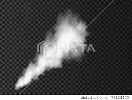White  smoke burst  isolated on transparent background. 75123490