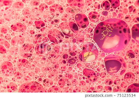 Abstract colorful circular shaped elements as background template Abstract colorful circular shaped elements as background template 75123534