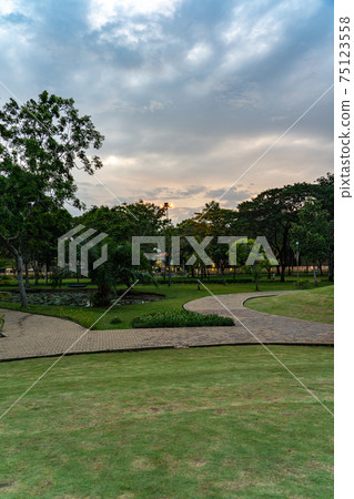 Vertical photo of beautiful public park at dusk  75123558