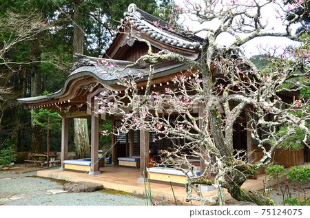 Tokeiin Ucchusma Meiodo 75124075