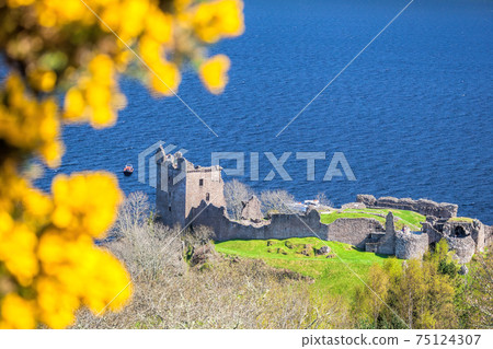 Ruins of Urquhart Castle with famous lake Loch Ness in Scotland 75124307