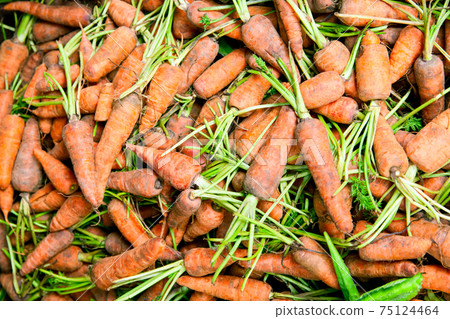 Carrots 75124464