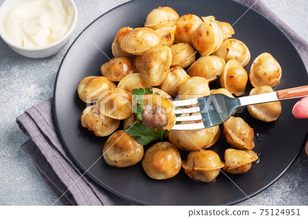 Traditional fried pelmeni, ravioli, dumplings filled with meat on black plate, russian kitchen. Gray concrete background, copy space. Traditional fried pelmeni, ravioli, dumplings filled with meat on black plate, russian kitchen. Gray concrete background, copy space. 75124951