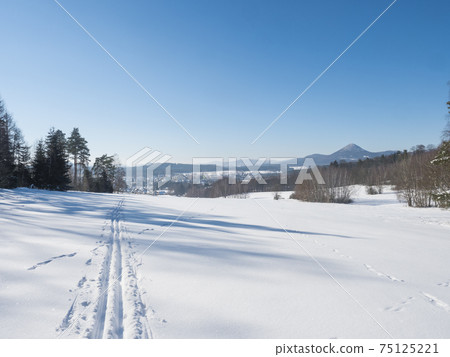 Winter landscape with view of village town Cvikov and ski run trail on snow-covered fields and snowy frozen forest and trees on sunny day, blue sky background 75125221
