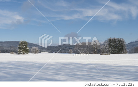 Winter field rural landscape with snowy trees and forest and man skier fugure on ski run. Cross-country skiing near village Cvikov in Lusatian Mountains, blue sky background, sunny winter day Winter field rural landscape with snowy trees and forest and man skier fugure on ski run. Cross-country skiing near village Cvikov in Lusatian Mountains, blue sky background, sunny winter day 75125222