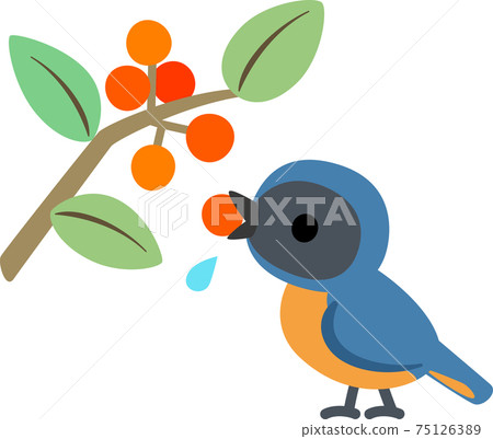 鳥吃堅果 75126389