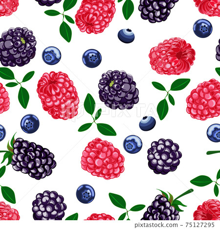 Very berry, blackberry, raspberries, blueberry, white background. Seamless pattern, vector. Very berry, blackberry, raspberries, blueberry, white background. Seamless pattern, vector. 75127295