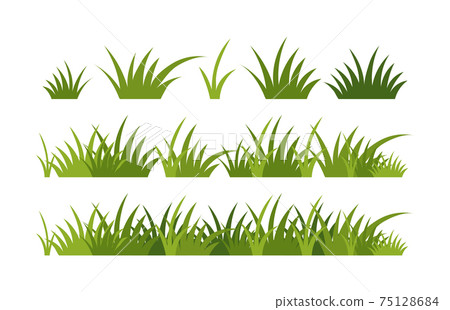 Green vector grass, horizontal border. A set of elements for design, green meadow, spring greenery, plants for a summer meadow. Illustration isolated on white background. 75128684