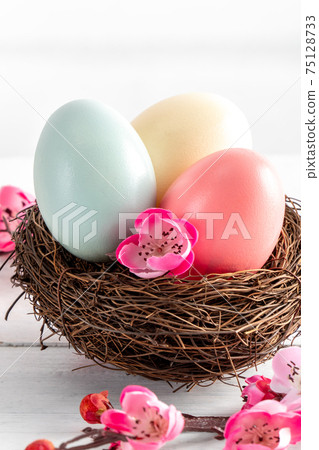 Easter eggs bird's nest close-up plum blossom Easter eggs colorful イースターエッグ 75128733