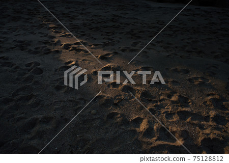 Footprints and a ray of light on the beach 75128812