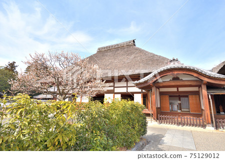 When the plum blossoms bloomed, I entered the oldest Ashikaga school in Japan. When the plum blossoms bloomed, I entered the oldest Ashikaga school in Japan. 75129012