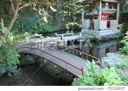 噴泉是一個森林池塘 噴泉是一個森林池塘 75129337