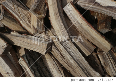 Freshly cracked oak firewood Freshly cracked oak firewood 75129487