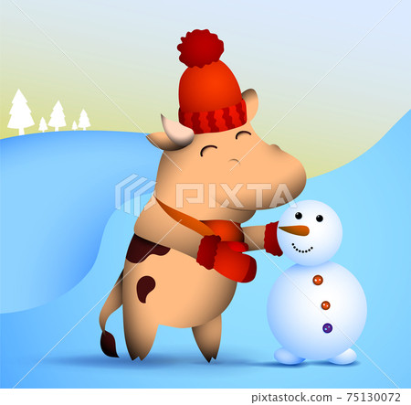 happy little bull, ox in winter clothes makes snowman out of snow. Symbol of 2021 of Chinese calendar with satisfied smile on face. Funny animals. Vector happy little bull, ox in winter clothes makes snowman out of snow. Symbol of 2021 of Chinese calendar with satisfied smile on face. Funny animals. Vector 75130072