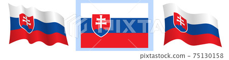 flag of Slovakia in static position and in motion, developing in wind in exact colors and sizes, on white background flag of Slovakia in static position and in motion, developing in wind in exact colors and sizes, on white background 75130158