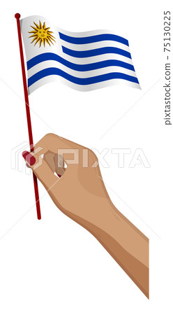Female hand gently holds small flag of Uruguay. Holiday design element. Cartoon vector on white background 75130225