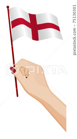 Female hand gently holds small Flag of England. Holiday design element. Cartoon vector on white background Female hand gently holds small Flag of England. Holiday design element. Cartoon vector on white background 75130301