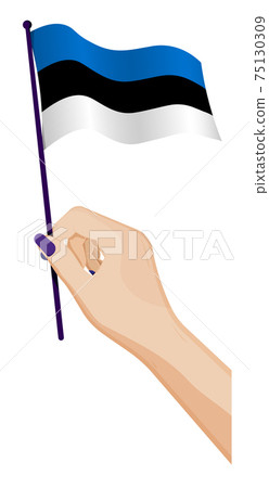 Female hand gently holds small Estonian flag. Holiday design element. Cartoon vector on white background Female hand gently holds small Estonian flag. Holiday design element. Cartoon vector on white background 75130309