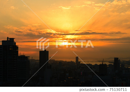 Evening view cityscape Evening view cityscape 75130711