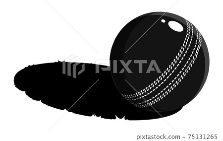 black and white cricket sport ball lies on grass. Shadow on sports field. Minimalistic contrast vector 75131265