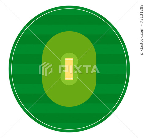 cricket field markings lines with grass, playground top view. Sports ground for active recreation. Vector 75131288