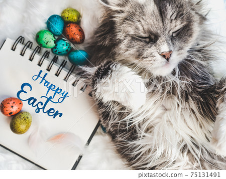 Charming kitten and Easter eggs painted in bright colors Charming kitten and Easter eggs painted in bright colors 75131491