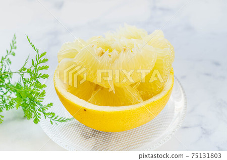 精液去皮 精液去皮 75131803