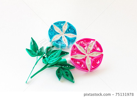 牽牛花。 牽牛花。 75131978