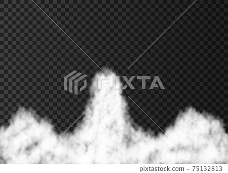 Smoke from space rocket launch. 75132813