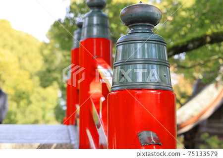 在神社祈禱 在神社祈禱 75133579