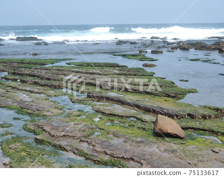 stone background with beach green moss, rock with beach stone moss stone background with beach green moss, rock with beach stone moss 75133617