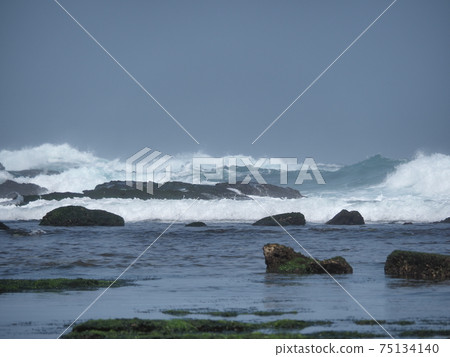 stone background with beach green moss, rock with beach stone moss stone background with beach green moss, rock with beach stone moss 75134140