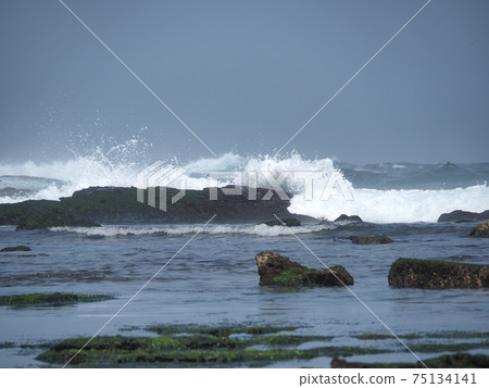 stone background with beach green moss, rock with beach stone moss stone background with beach green moss, rock with beach stone moss 75134141