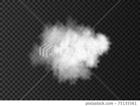 Realistic  white  smoke cloud  isolated on transparent background. 75135561