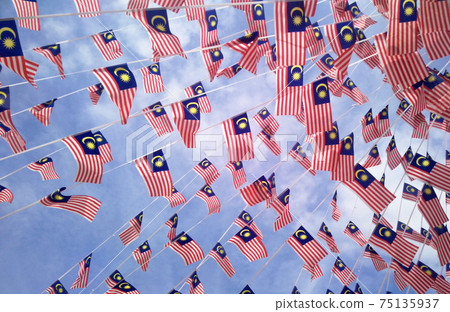 SELANGOR, MALAYSIA -AUGUST 31, 2017: Small size Malaysia flags in windy air.  SELANGOR, MALAYSIA -AUGUST 31, 2017: Small size Malaysia flags in windy air.  75135937